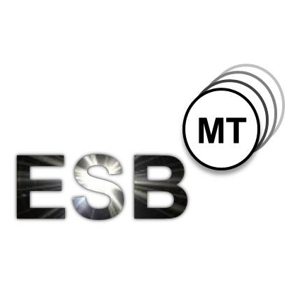 esbmt_logo-quadratisch